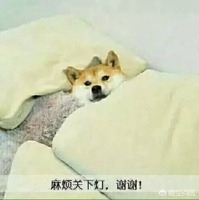 怀孕一个月的反应症状,怀孕一个月内的症状和反应