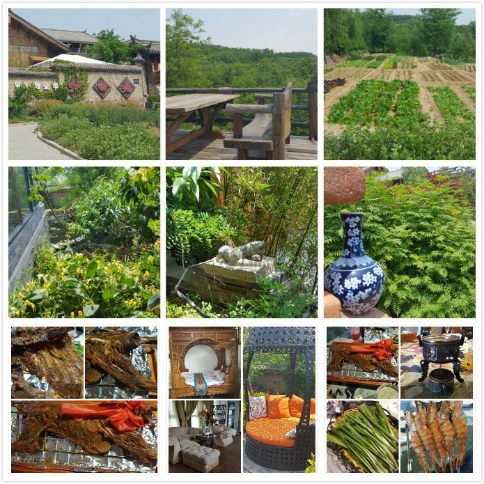 我吃过的那些店大合集