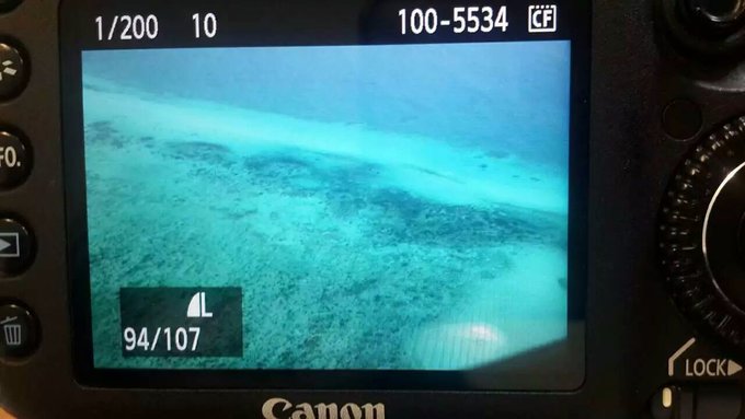 澳大利亚昆士兰自由行攻略,去澳大利亚昆士兰州旅游攻略