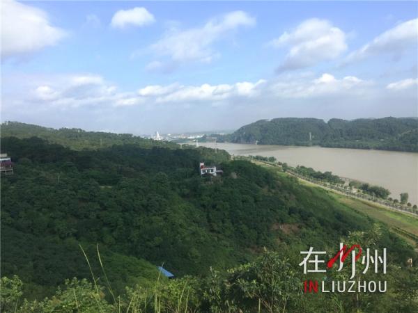 柳州租电动车好还是汽车好,柳州哪里可以租到电动汽车