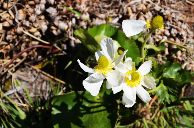 趁年轻我们一起去旅行,趁年轻我们一起去旅行吧