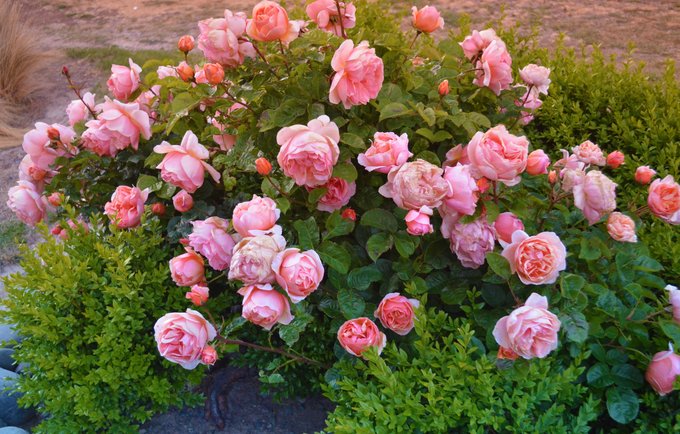 趁年轻我们一起去旅行,趁年轻我们一起去旅行吧