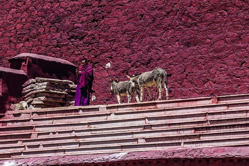 野在高原进口三菱转动南半球之*藏西**行（下）