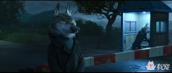 动物吸毒 (动物吸毒会上瘾么)