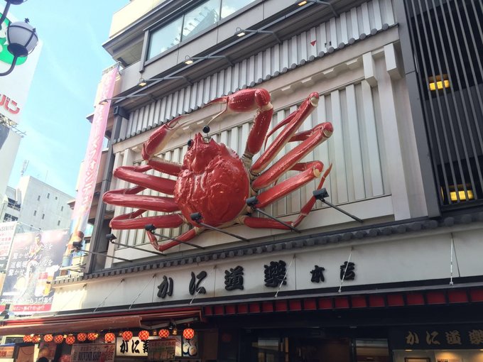 16年,关西(大阪,奈良,京都,宇治)樱花,甲子园