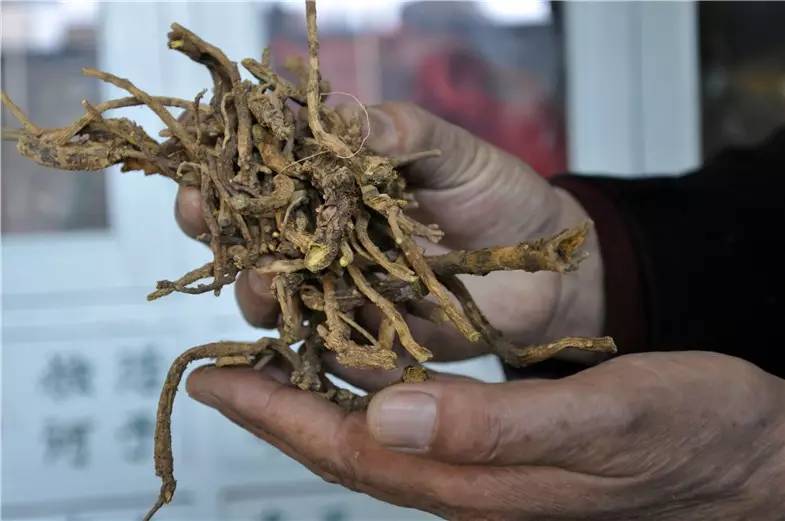 许富昌中医怎么样,老中医许富昌怎么样