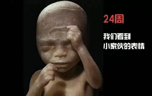 造人计划之前需要做的事,造人计划必须做的事