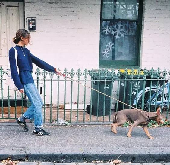 三叶草十大经典鞋款的名称,三叶草经典系列