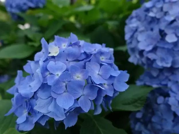 现在的日本是什么样的,现在的日本广岛什么样子