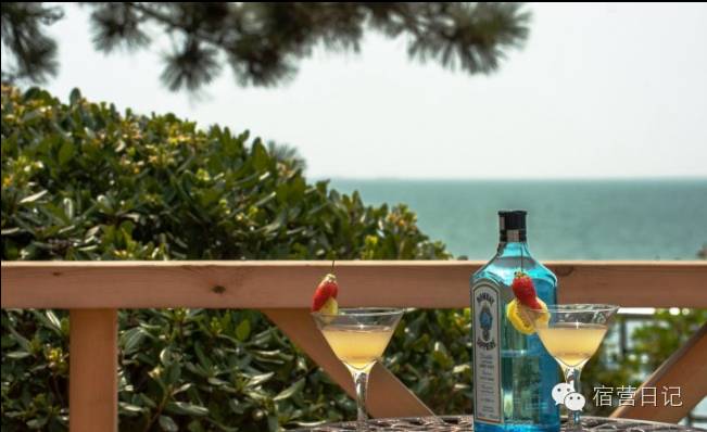 没去青岛也能看到海鸥,没去青岛的人对这个城市的印象