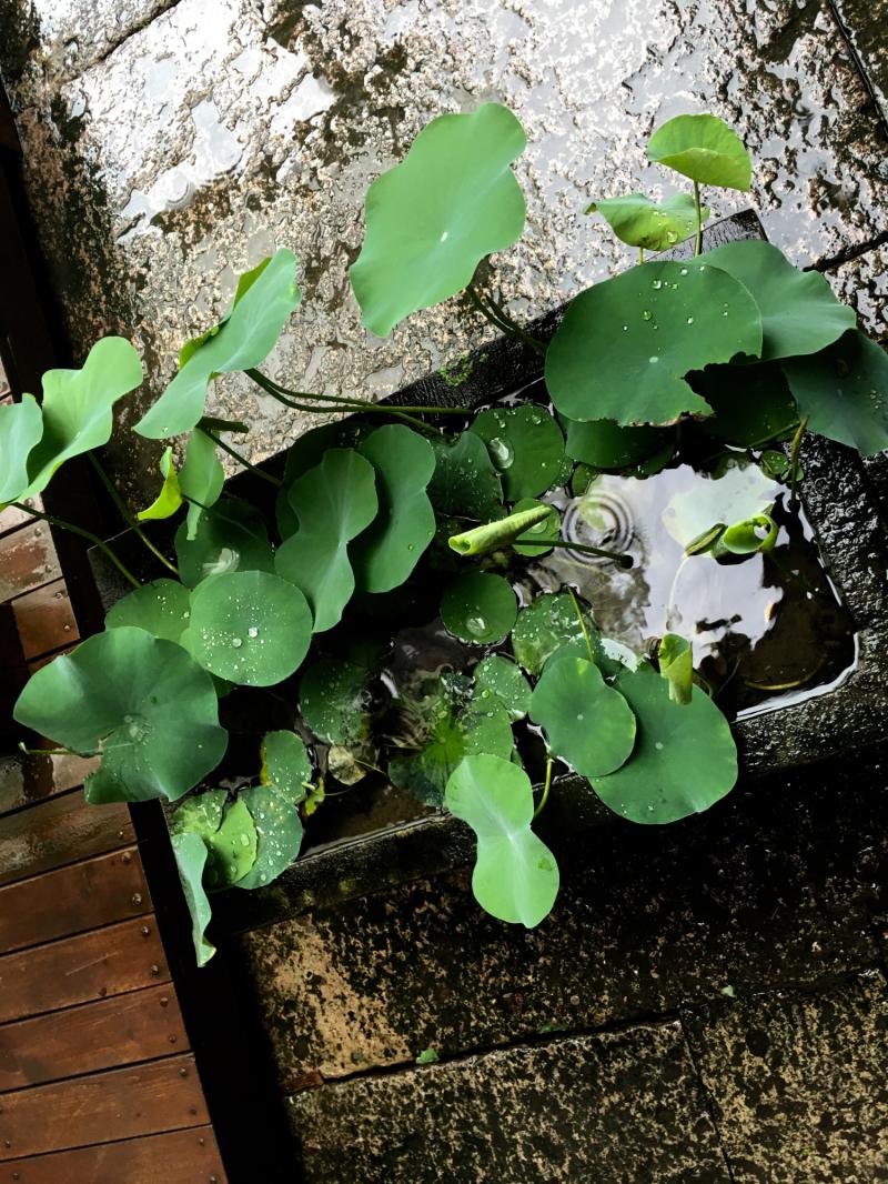 一桌家宴该具备哪些菜式,一桌家宴需要哪些菜