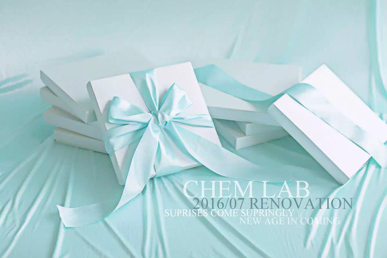 小丑女和白雪,小丑女白雪公主