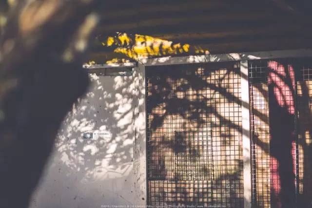 帕劳旅游景点视频,帕劳旅游真实生活