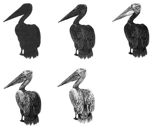 好的程序员学习网站或app,国外程序员都用什么操作系统