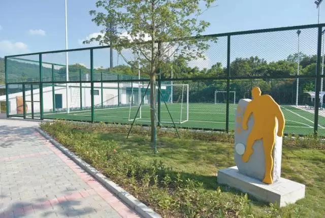 深圳有哪些公园可以免费开放,深圳有特色的免费公园