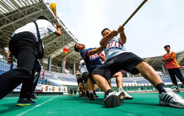 威海文登鸟巢体育馆,文登露天体育馆