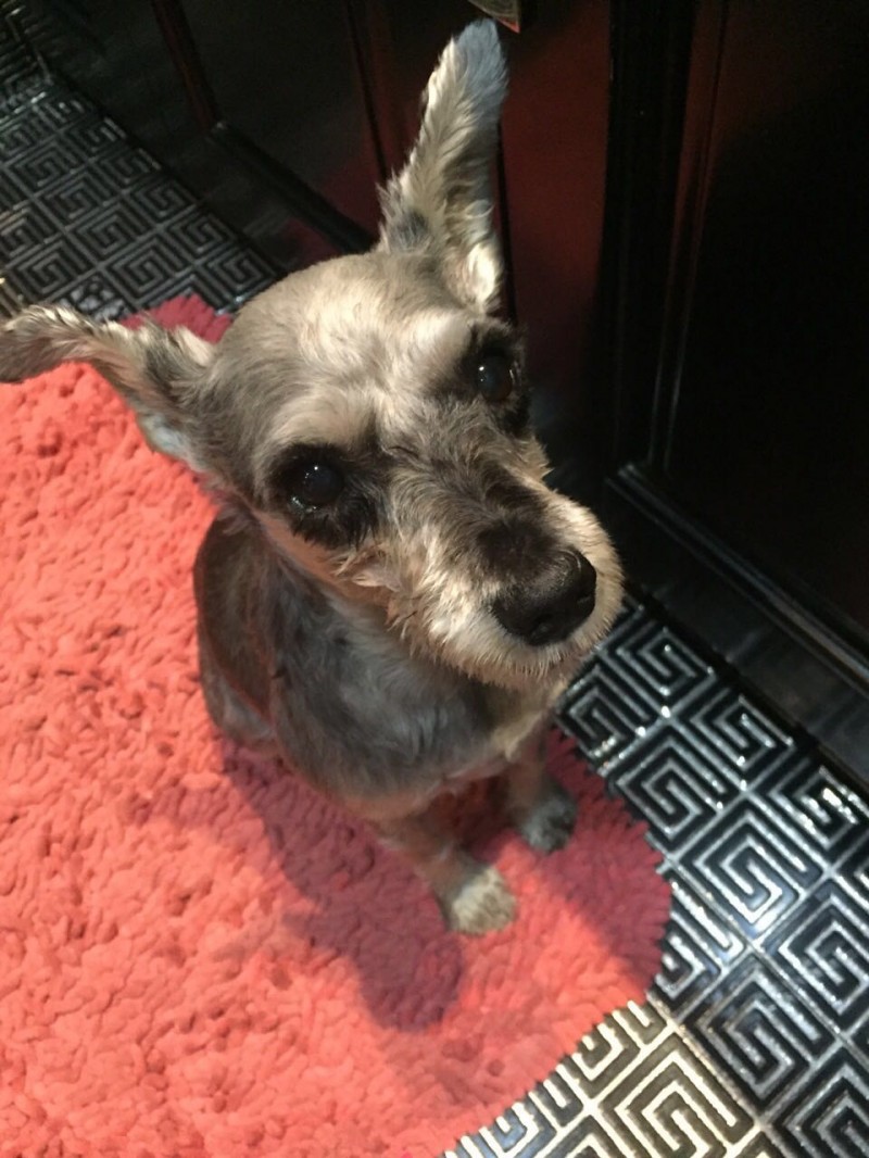 沈阳年轻人最爱去的咖啡厅,沈阳咖啡馆推荐