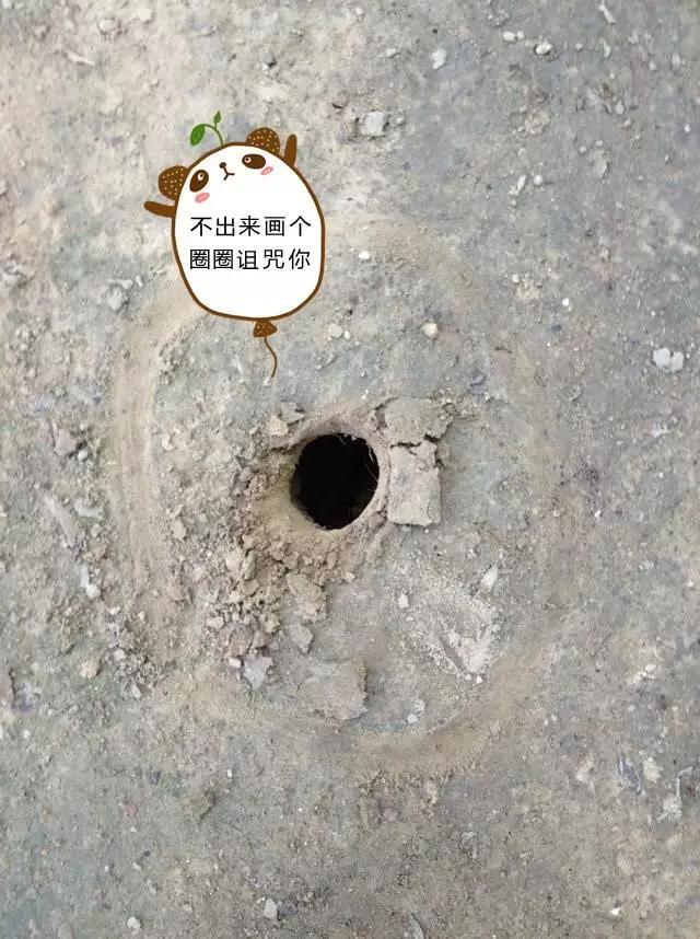 濮阳摸爬叉的地方,濮阳老城摸爬叉的地方