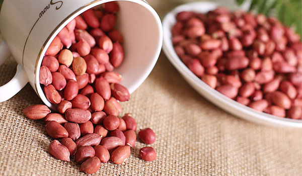 各种豆类营养价值保健功效,药食同源豆类大全