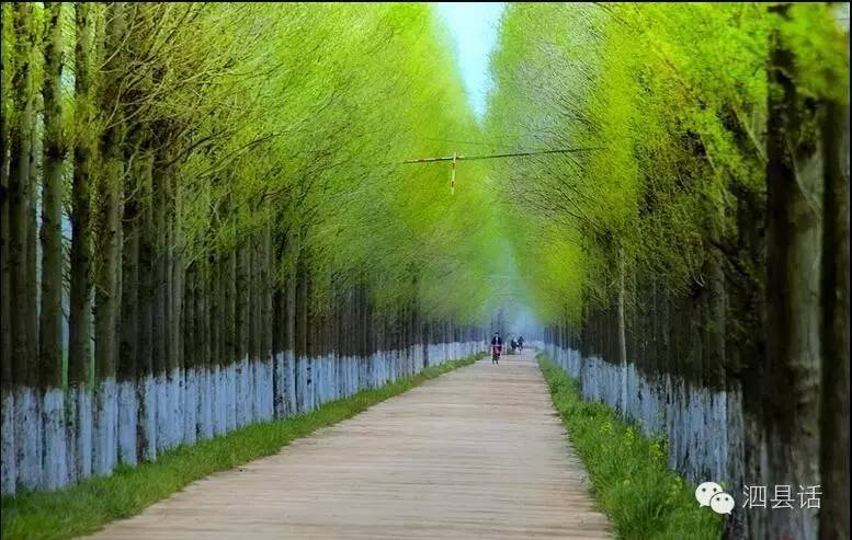 泗县发展前后对比变化视频,泗县变化真大