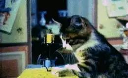 武汉民族特色体验馆,武汉最好玩的馆推荐儿童