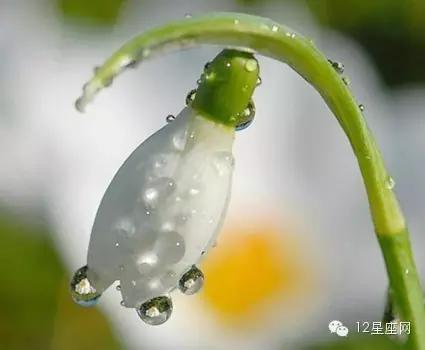 第一星座网7月11日十二生肖运势,十二生肖每日运势2017年9月7日