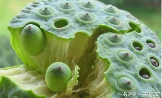 又见荷花开，莲（花、叶、子、藕）通身都是宝；上天馈赠！