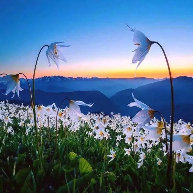 纪念心理治疗大师萨提亚诞辰100周年成为一个更完整的人