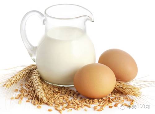 羊奶比牛奶的优势是什么,牧羊曲羊奶有哪些优势