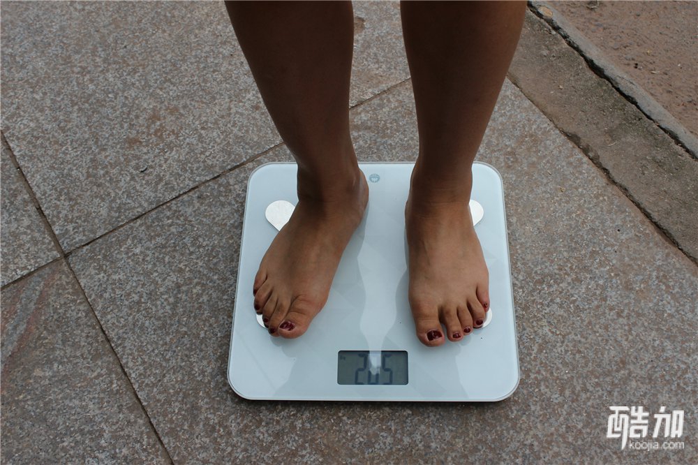 香山电子健康秤,香山智能蓝牙人体脂肪秤