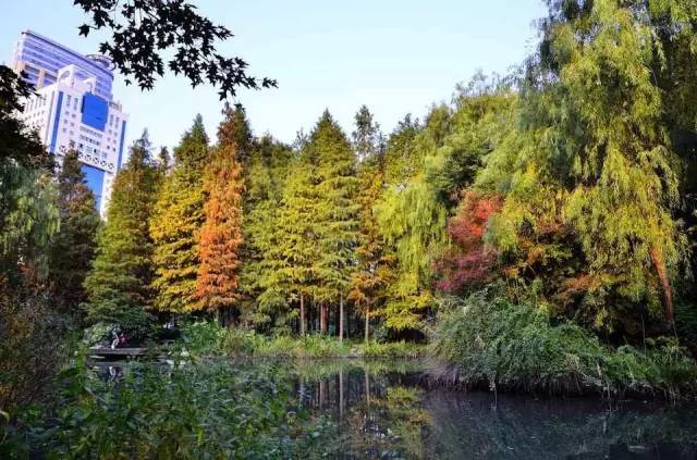 上海中山公园游玩需多少时间,上海中山公园现在去免费吗