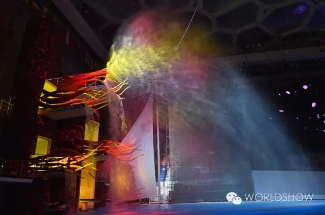 最惊艳的鸟巢,鸟巢吸引鸟的视频