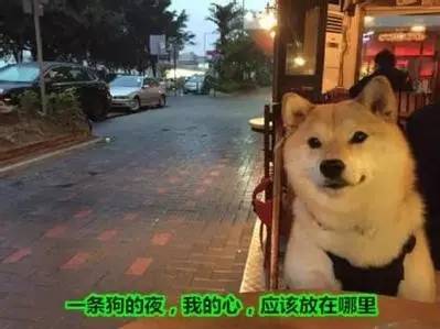 嗖的一下，2016年即将过去一半了！