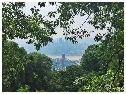 重庆喝茶打麻将的地方都有哪些,重庆喝茶的茶馆