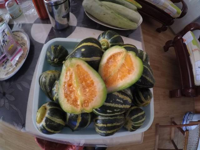 带上小蚁运动相机游潍坊（三）寿光菜博会