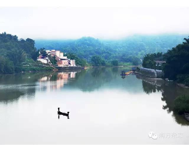 丰顺和大埔,大埔丰顺篮球比赛