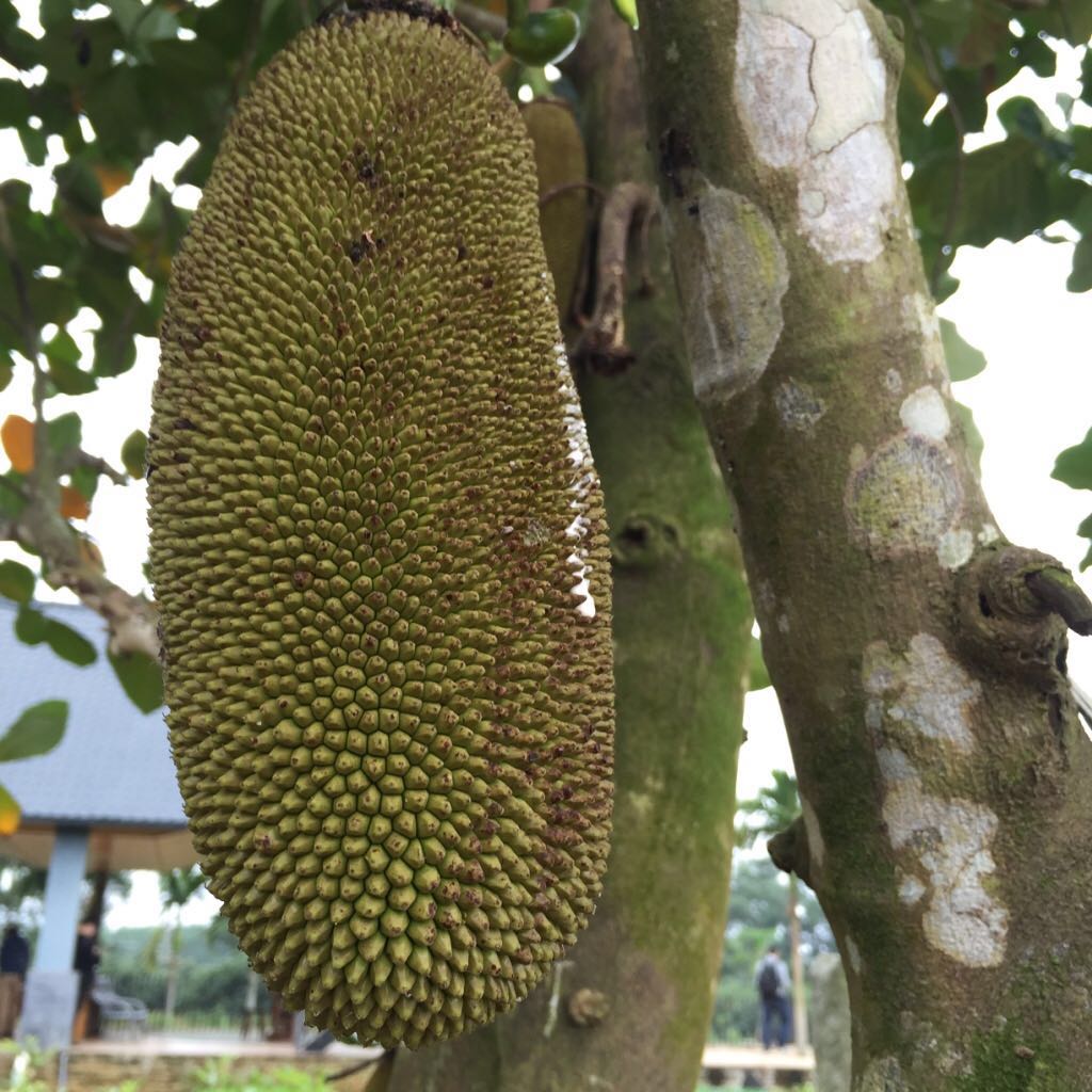 被遗忘的海南,海南被遗忘的浪漫之地