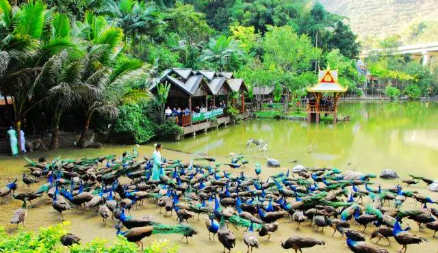 鸡冻!衢州人能坐高铁到云南啦!省了30小时,沿途风景美哭你!