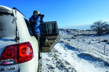 纤毫毕现观看之道主流4K、5K高分辨率显示器横评