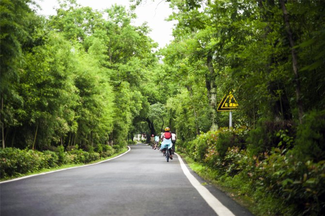 在这座神山中，我们每个人都是武林高手