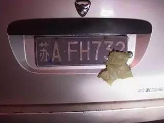 这智商，还有脸遮挡车牌？