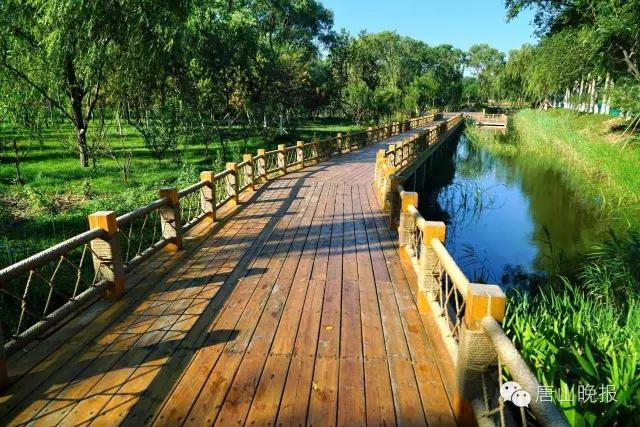 唐山最美风景图片大全,唐山画廊在哪里