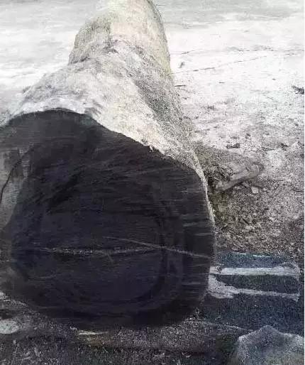 老宅发现100年前乌木,江西小山村挖出价值1亿的乌木