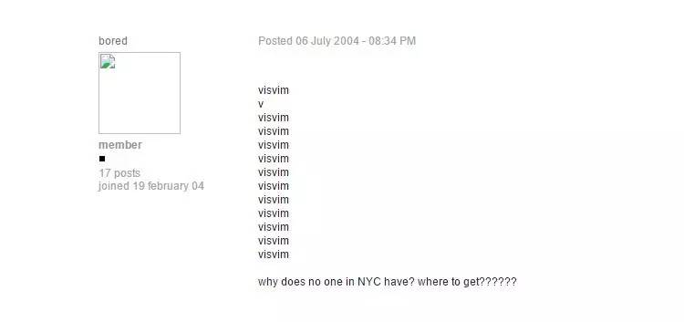 visvim代表什么意思,visvim是什么意思啊