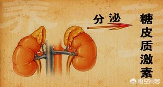 激素恐惧症的症状,激素恐惧症有哪些