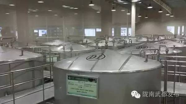 武都祥宇油橄榄,陇南武都祥宇油橄榄