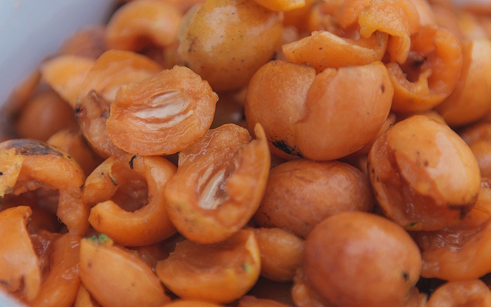 夏天咳嗽怎么止咳化痰最快,夏天咳嗽最快的偏方