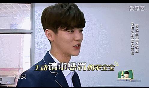 骄傲王源tfboys演唱会,鹿晗大张伟潘玮柏ella