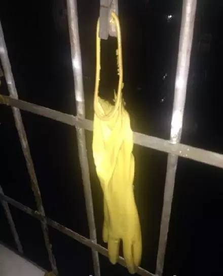 福州今起改名了新名字可洋气了！叫沃德玛·劳兹热德·肴斯勒！