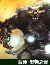 当英雄联盟遇上我的世界,英雄联盟和足球世界杯